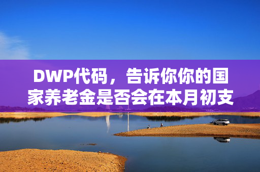 DWP代码，告诉你你的国家养老金是否会在本月初支付