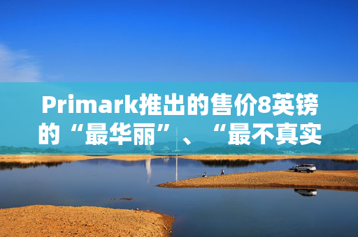 Primark推出的售价8英镑的“最华丽”、“最不真实”手袋是购物者们迫切想买的