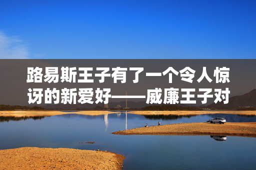 路易斯王子有了一个令人惊讶的新爱好——威廉王子对此并不感冒