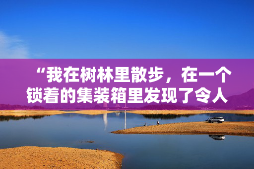 “我在树林里散步，在一个锁着的集装箱里发现了令人难以置信的惊喜。”