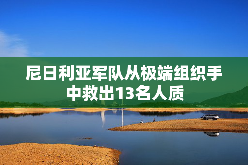 尼日利亚军队从极端组织手中救出13名人质