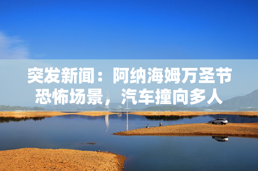 突发新闻：阿纳海姆万圣节恐怖场景，汽车撞向多人