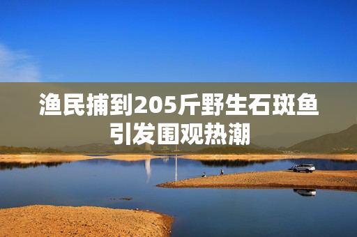 渔民捕到205斤野生石斑鱼引发围观热潮