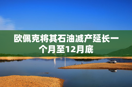 欧佩克将其石油减产延长一个月至12月底